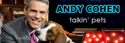 Andy Cohen on Pet Life Radio