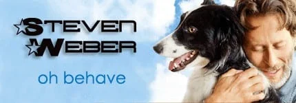 Steven Weber on Pet Life Radio