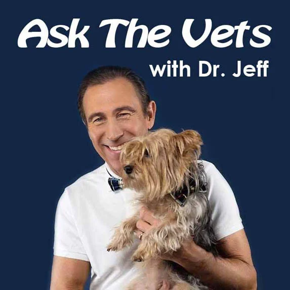 Why do dogs eat grass?  Find out on Ask the Vets with Dr. Jeff pet podcast on Pet Life Radio