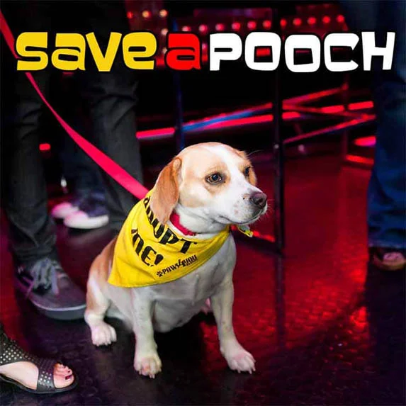 Save A Pooch pet podcast on Pet Life Radio