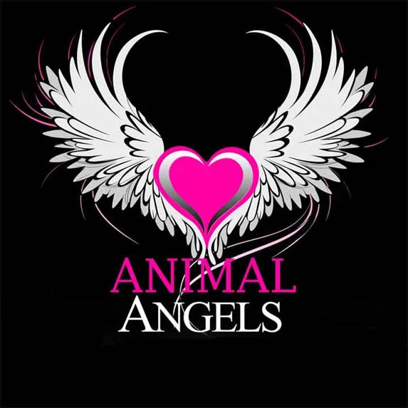 Animal Angels pet podcast on Pet Life Radio
