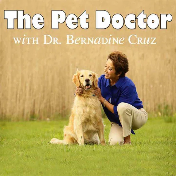 The Pet Doctor pet podcast on Pet Life Radio