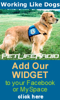 Add our widget to your Facebook or MySpace!