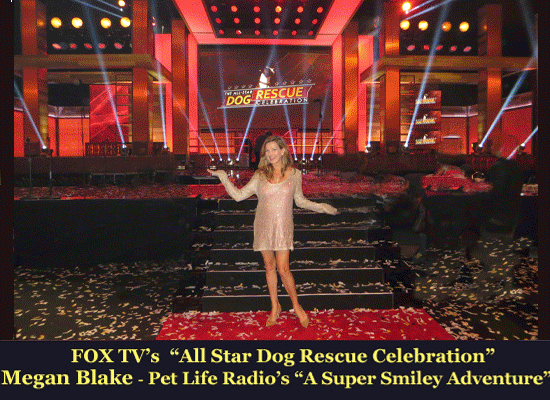 FOX’s All Star Dog Rescue Celebration on Pet Life Radio