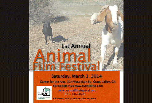 Animal Film Festival on Pet Life Radio