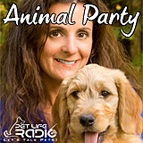 Animal Party Widget
