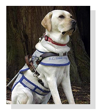 BC Guide Dogs on Pet Life Radio