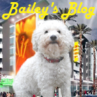 Bailey's Blog on Pet Life Radio
