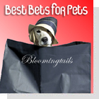 pet podcast - Best Bets for Pets - New Pet Products