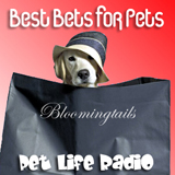 Best Bets for Pets Widget