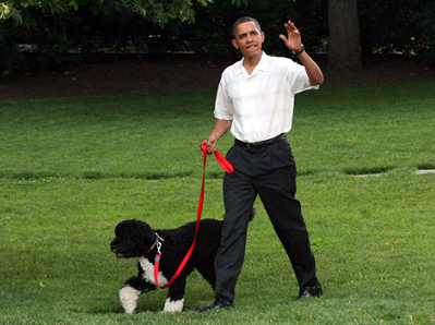 President Barack Obama and Bo