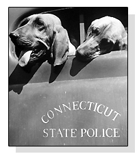 Connecticut Police Dogs on Pet Life Radio