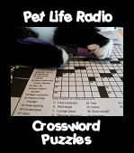 Play our interactive crossword puzzles!