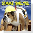 pet podcast - Gimme Shelter