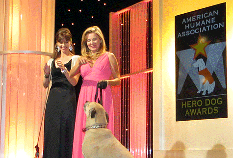 Hero Dog Awards on Pet Life Radio
