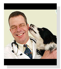 Dr. Jeff Nichol, D.V.M. on Pet Life Radio