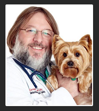 Dr. Joseph Bartges on Pet Life Radio