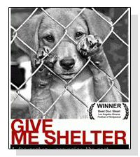 Give Me Shelter on Pet Life Radio