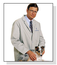 Dr. Marty Smith