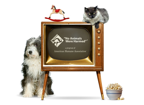 The Pet Doctor- No Animals Were Harmed in the Making of This Film on