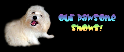Our Pawsome Shows on Pet Life Radio!