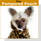 pet podcast - The Pampered Pooch - It is a growing trend that people love and treat their pets like they are their children.  