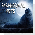 pet podcast - Paranormal Pets - Ghostly Encounters with Past Pets