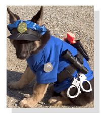 Friends of

New Mexico K-9