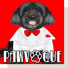 pet podcast - PawVogue - pet fashion