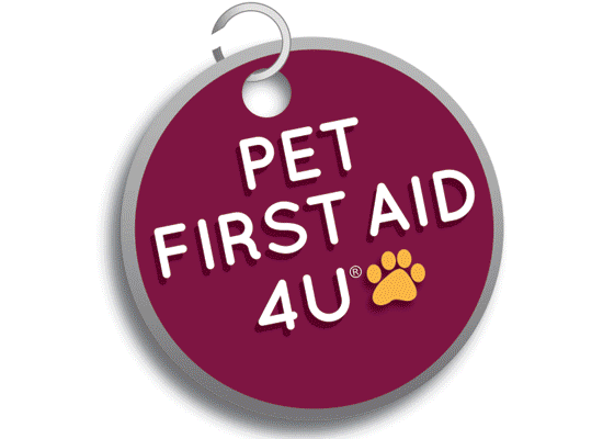 Arden Moore Unleashes her Inner 'Mutt-Gyver' with Creative Pet First Aid Tips and Tricks on Pet Life Radio