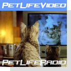 pet podcast - PetLifeVideo