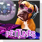 pet podcast - PetLifeVideo