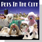 pet podcast - Pets In The City - Pets in New York