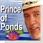 pet podcast - Prince of Ponds on Pet Life Radio