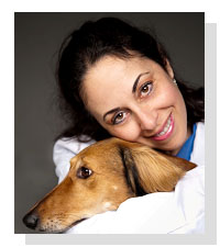 Dr. Stefanie Schwartz  on Pet Life Radio 