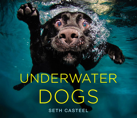 Underwater Dogs on Pet Life Radio