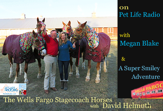 Wells Fargo Horses on Pet Life Radio