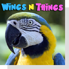 pet podcast - Wings 'n Things-Birds as pets