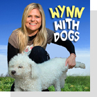 pet podcast - Wynn With Dogs - Dog Longevity