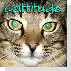 pet podcast - Cattitude-Cats as pets