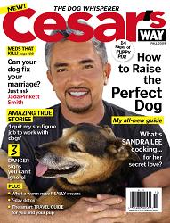 Cesar's Way Magazine