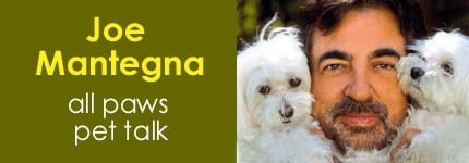 Joe Mantegna & Pets