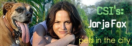 JorjaFox