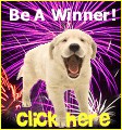 contest2