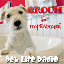 Groom For Improvement pet radio and podcast