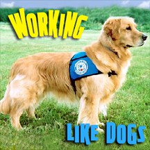 Working Like Dogs pet radio and podcast