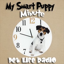 My Smart Puppy pet radio and podcast