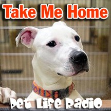 Take Me Home pet radio and podcast
