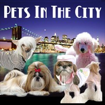 Pets in the City pet radio and podcast