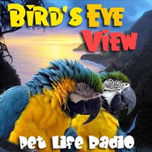 Bird's Eye View pet radio and podcast
